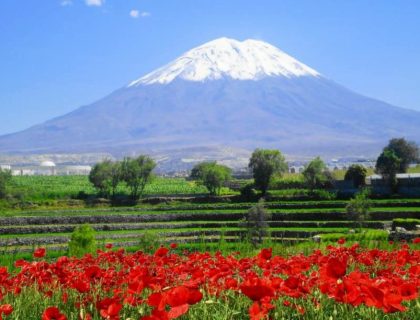 CITY TOUR EN AREQUIPA + CAMPIÑA
