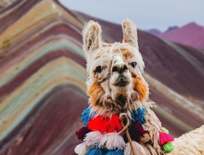 TOUR MONTAÑA ARCOIRIS (VINICUNCA)