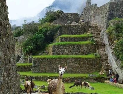PAQUETE MACHU PICCHU + SKY LODGE EN EL VALLE SAGRADO 6 DÍAS / 5 NOCHES
